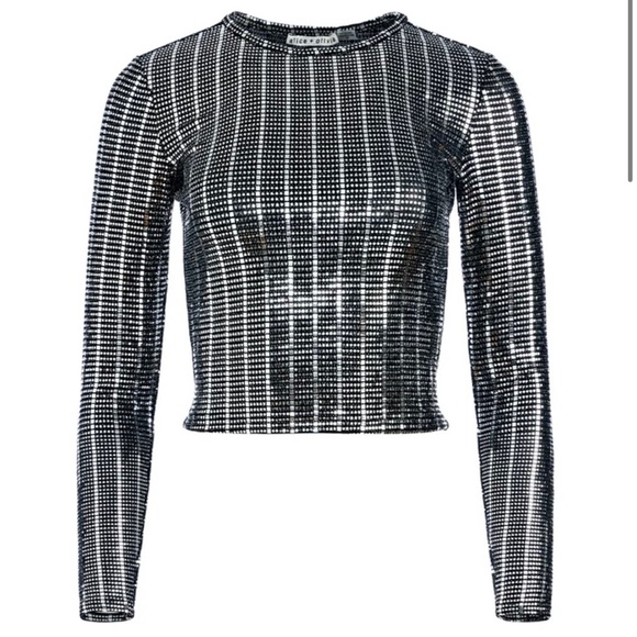DELAINA LONG SLEEVE EMBELLISHED TOP - Picture 1 of 3